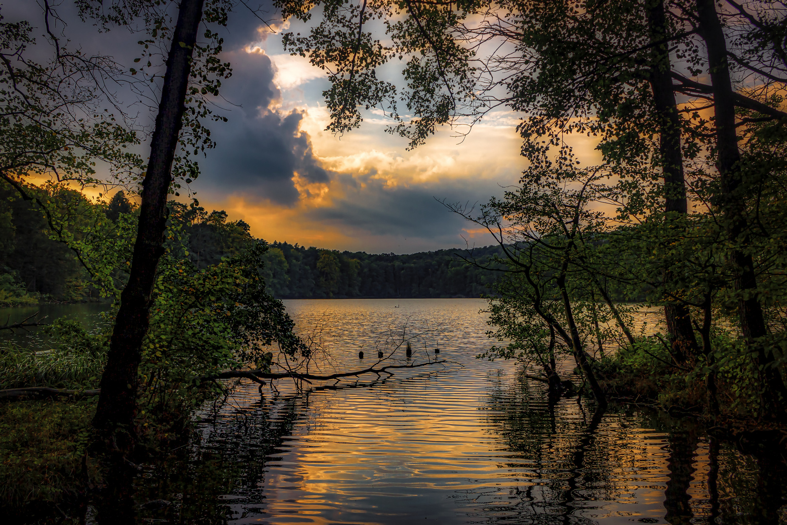 Abends am Großen Tornowsee