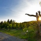 Abends am Grünen Platz