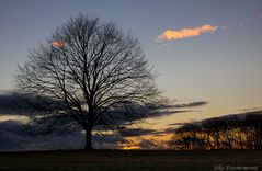 Abends am Himmel