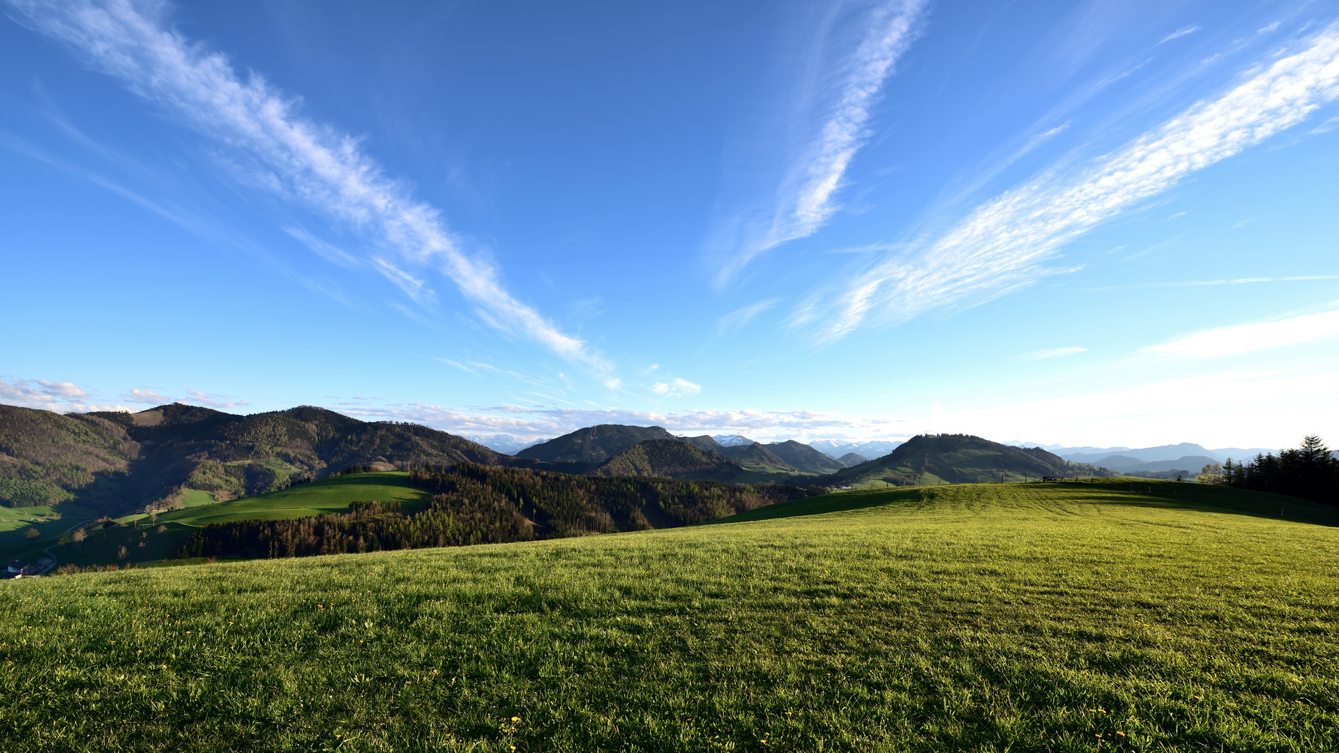 Abends am Hirschberg ...