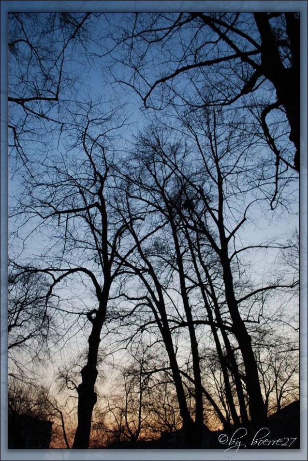 Abends am Hofgarten, Bonn - Uni