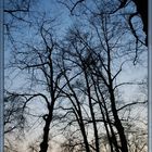 Abends am Hofgarten, Bonn - Uni