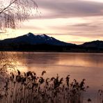 Abends am Hopfensee