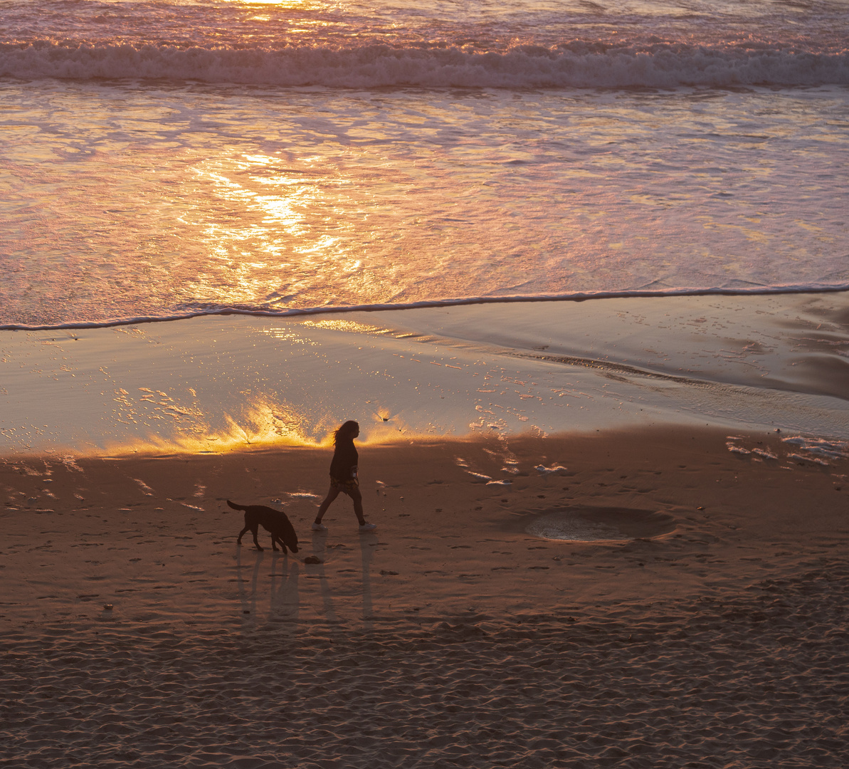 Abends am Hundestrand