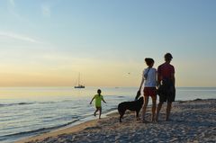 Abends Am Hundestrand Hiddensee 