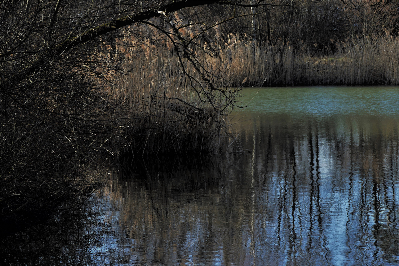 Abends am kleinen Weiher (2)