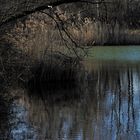 Abends am kleinen Weiher (2)