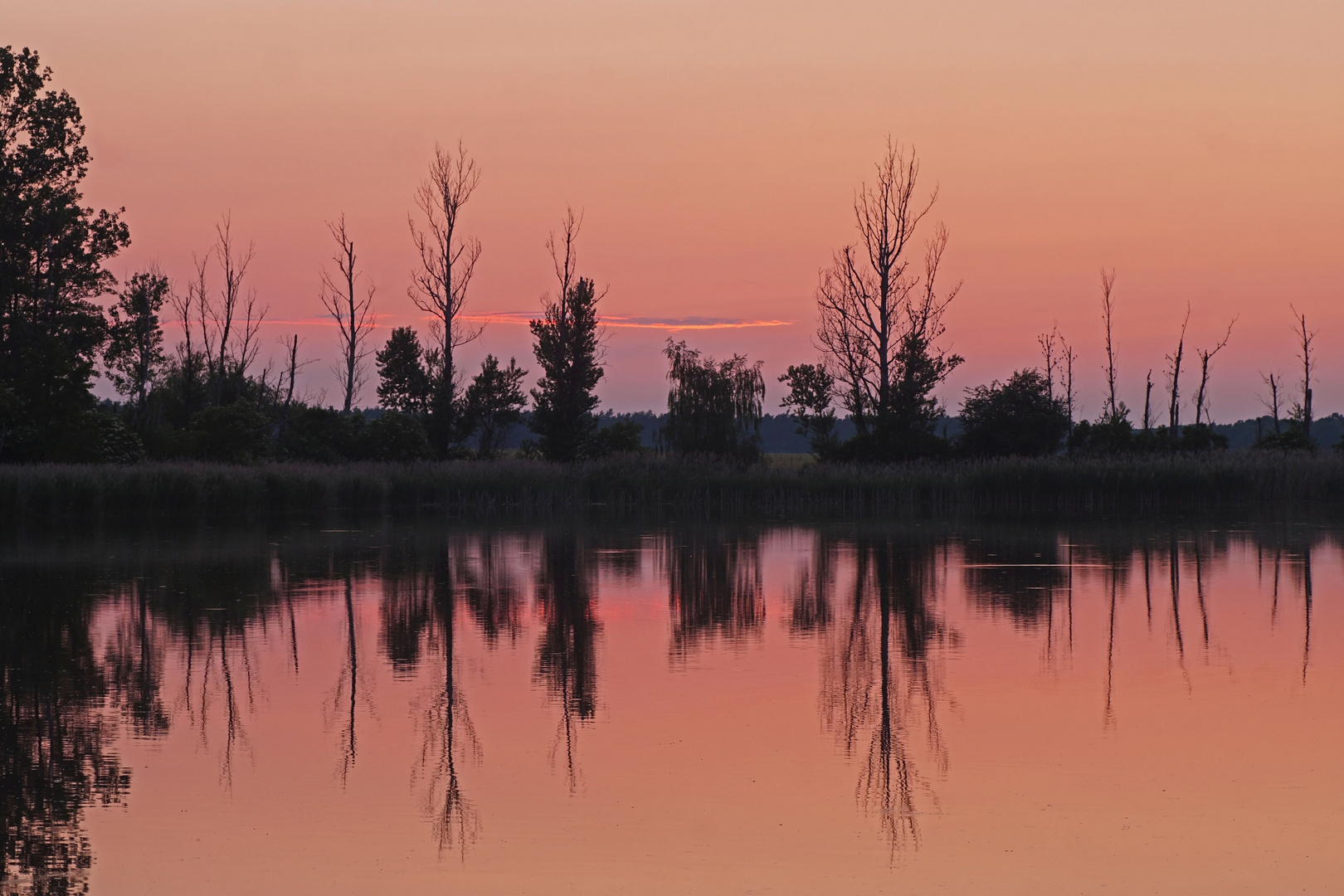 Abends am Klixer Dorfteich