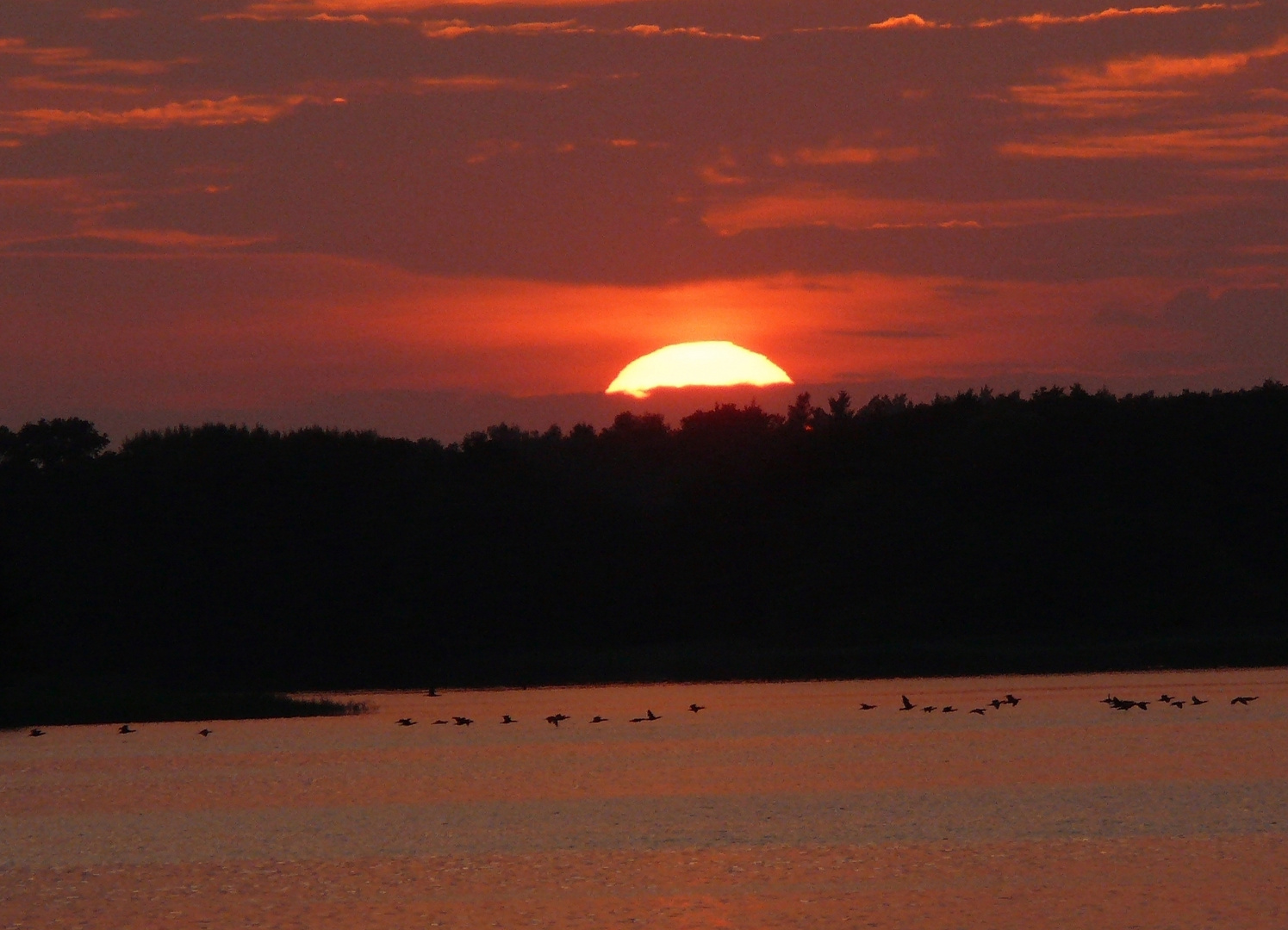 - abends - (am Krakower See)