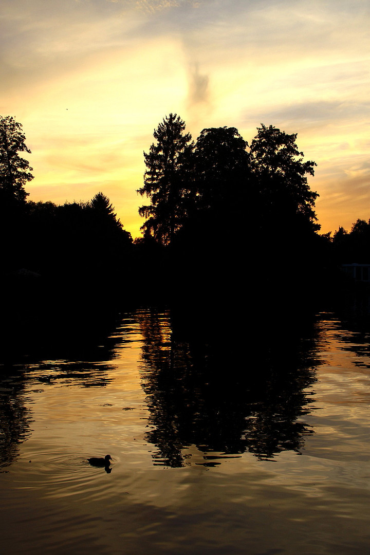 Abends am Krossinsee (2012)