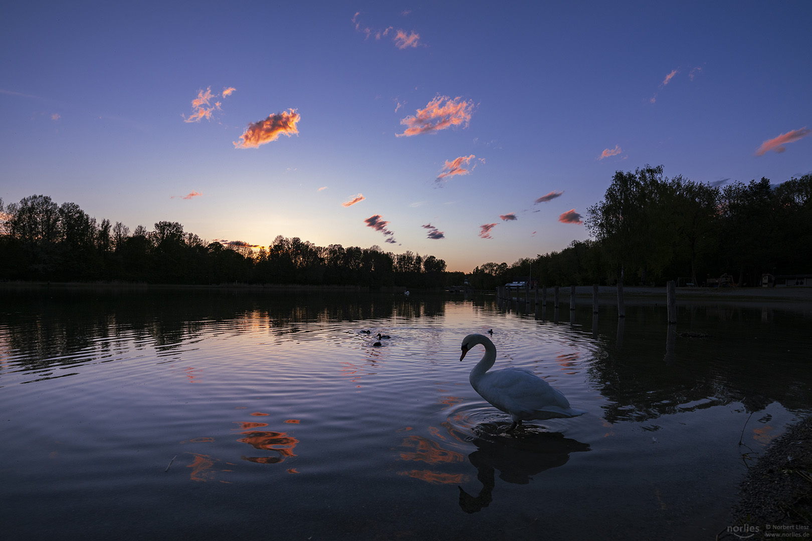 Abends am Kuhsee