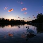 Abends am Kuhsee