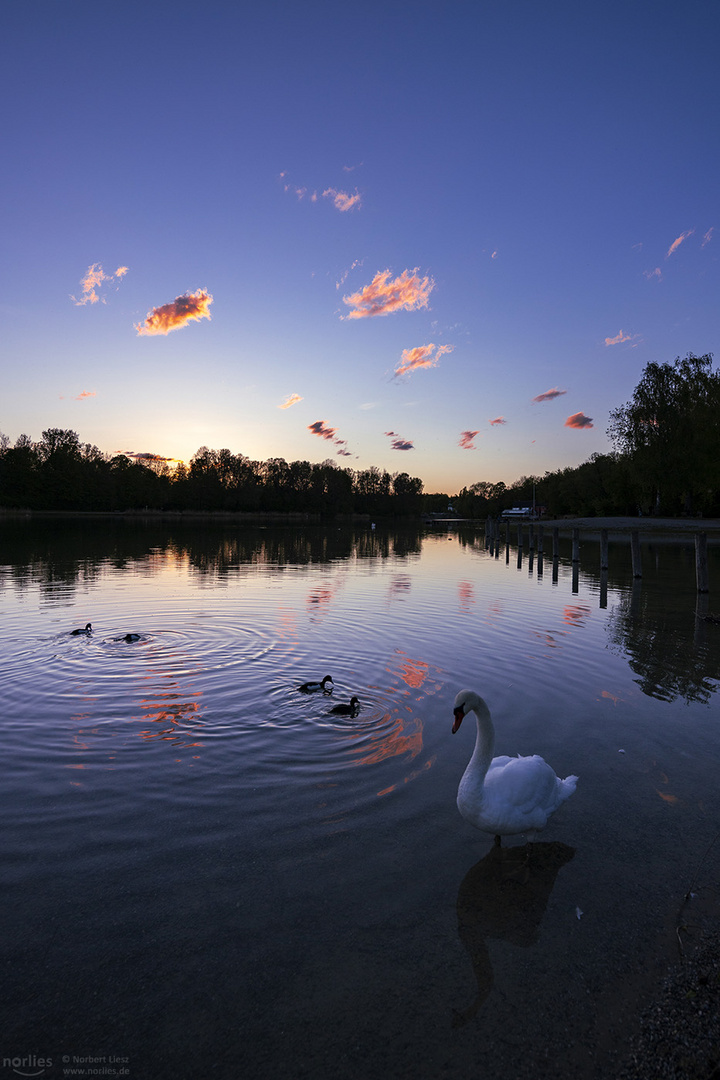 Abends am Kuhsee