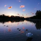 Abends am Kuhsee