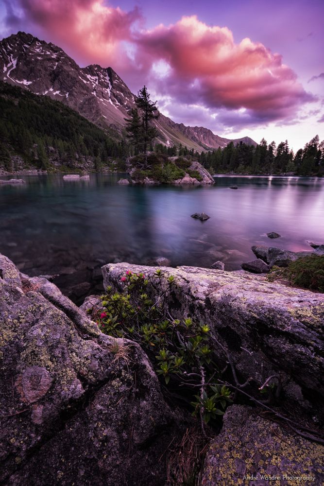 Abends am Lago di Saoseo