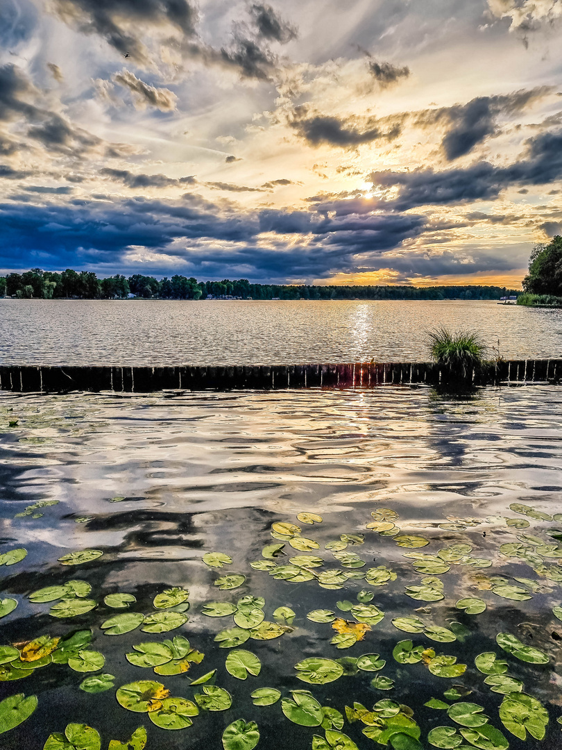 Abends am Langen See