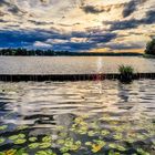 Abends am Langen See