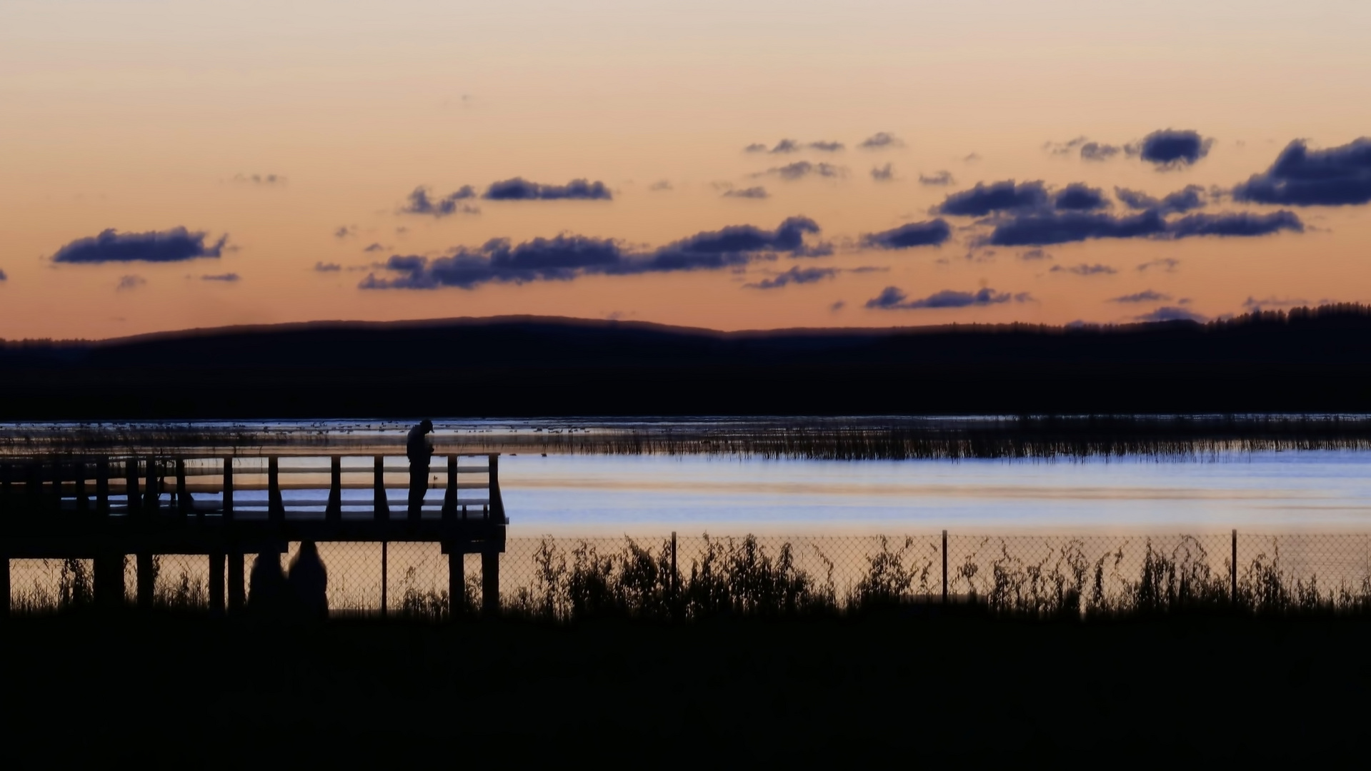 Abends am Lebasee in Hinterpommern zur blauen Stunde