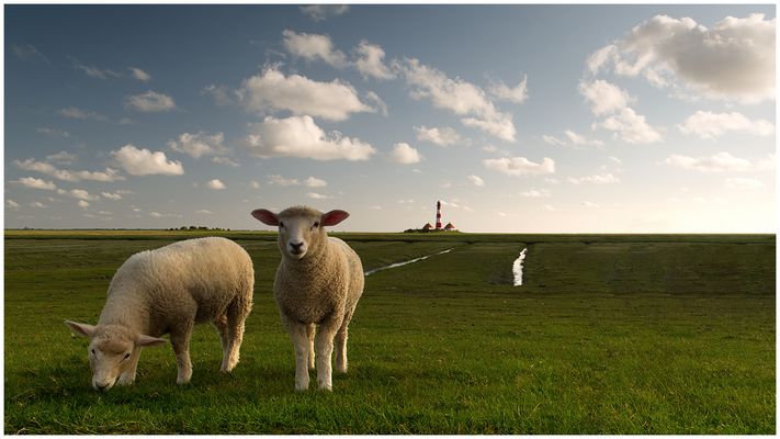 Abends am Leuchtturm Westerheversand 