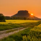 Abends am Lilienstein