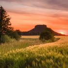 Abends am Lilienstein II