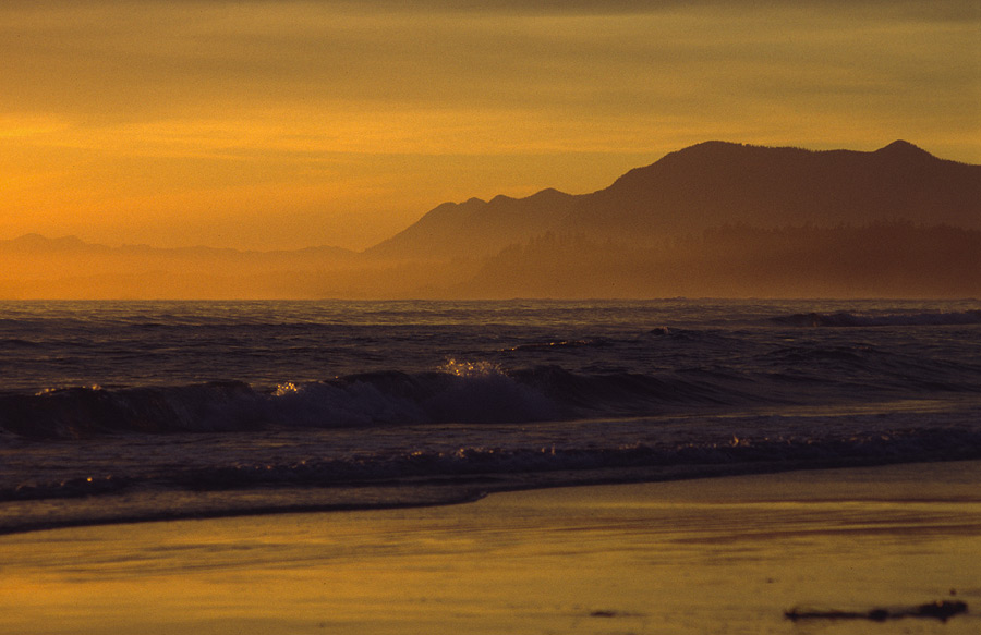 Abends am Long Beach