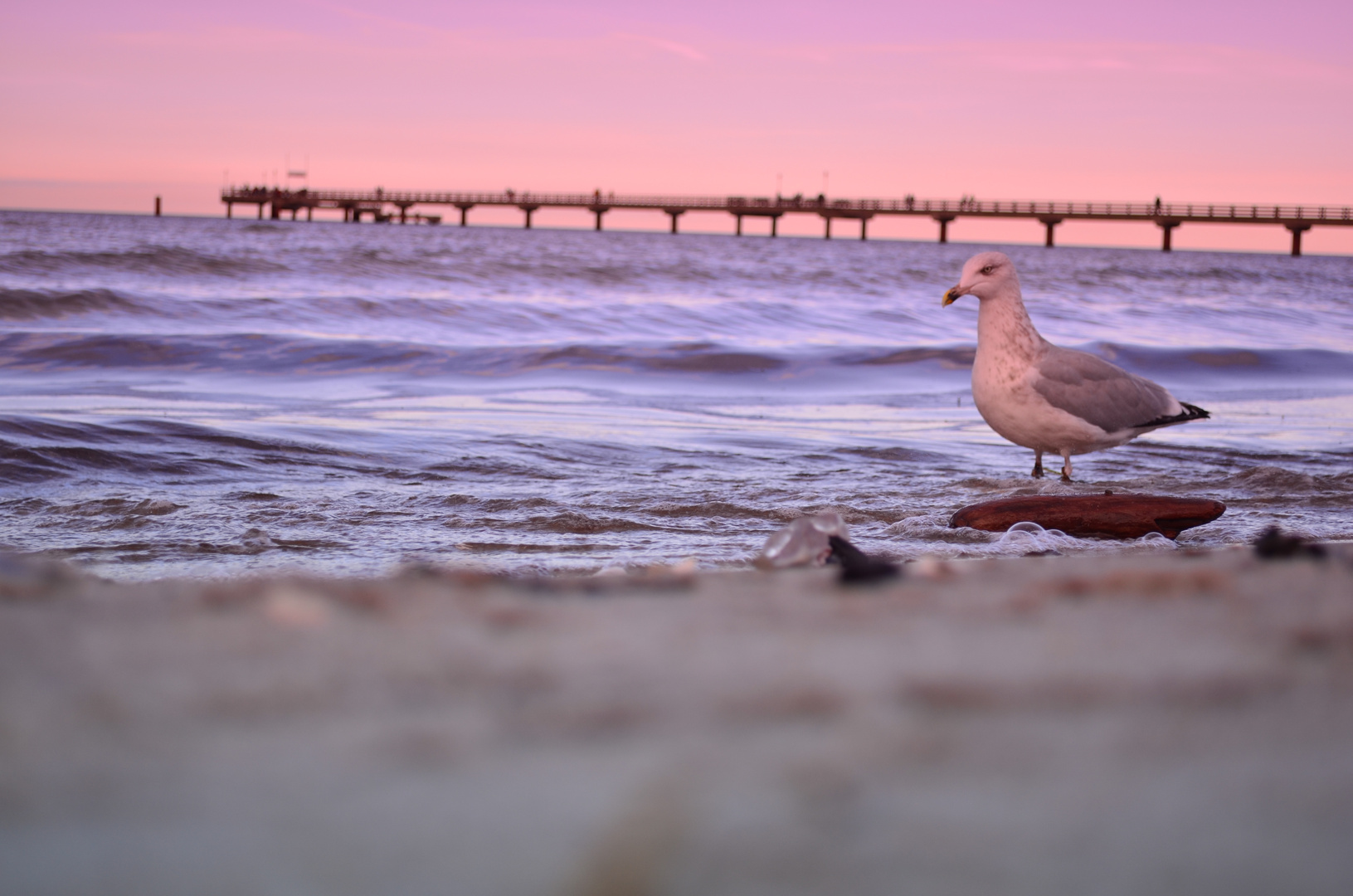 abends am Meer