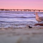 abends am Meer