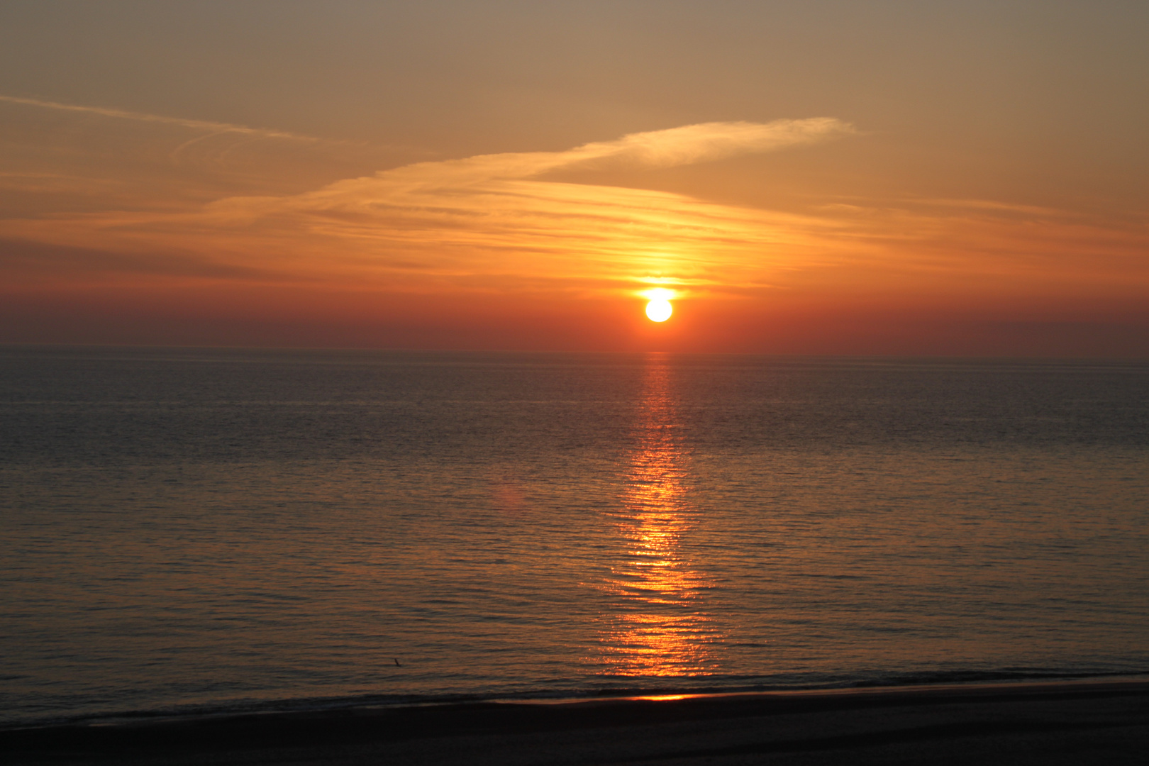 Abends am Meer .....