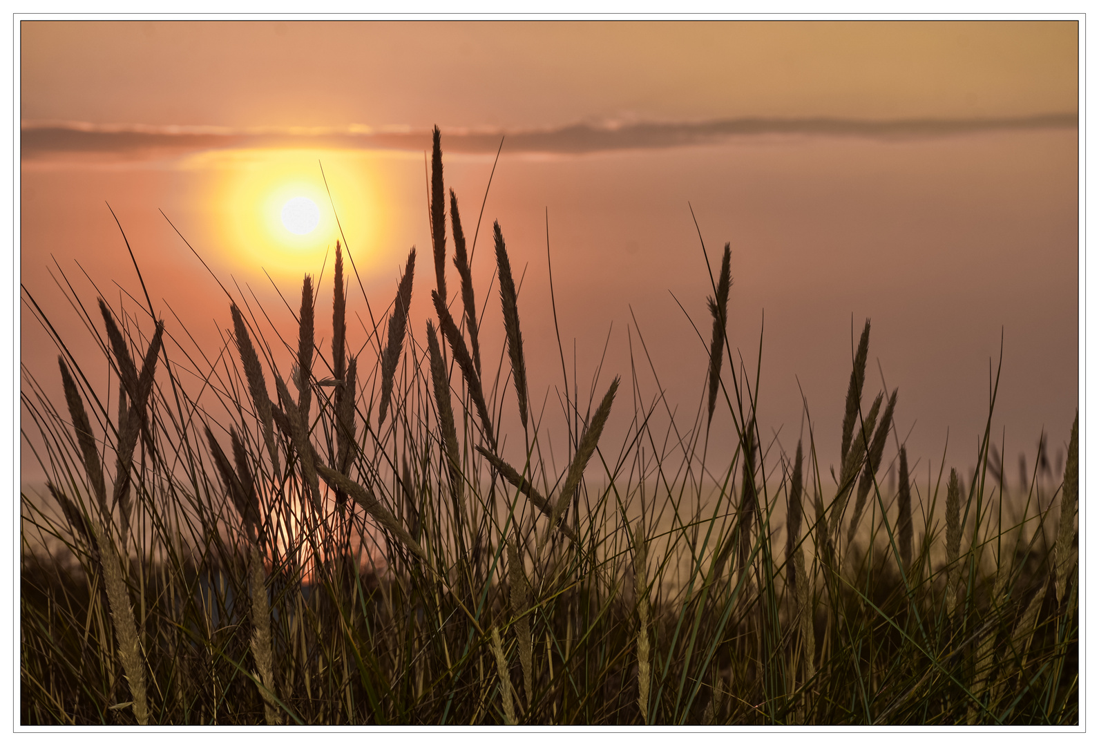 Abends am Meer