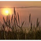 Abends am Meer