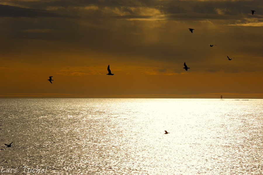 Abends am Meer