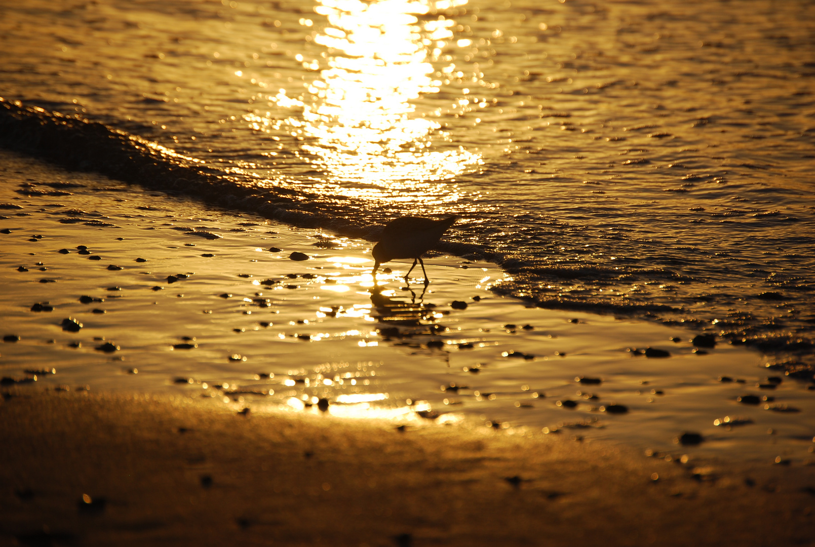 Abends am Meer