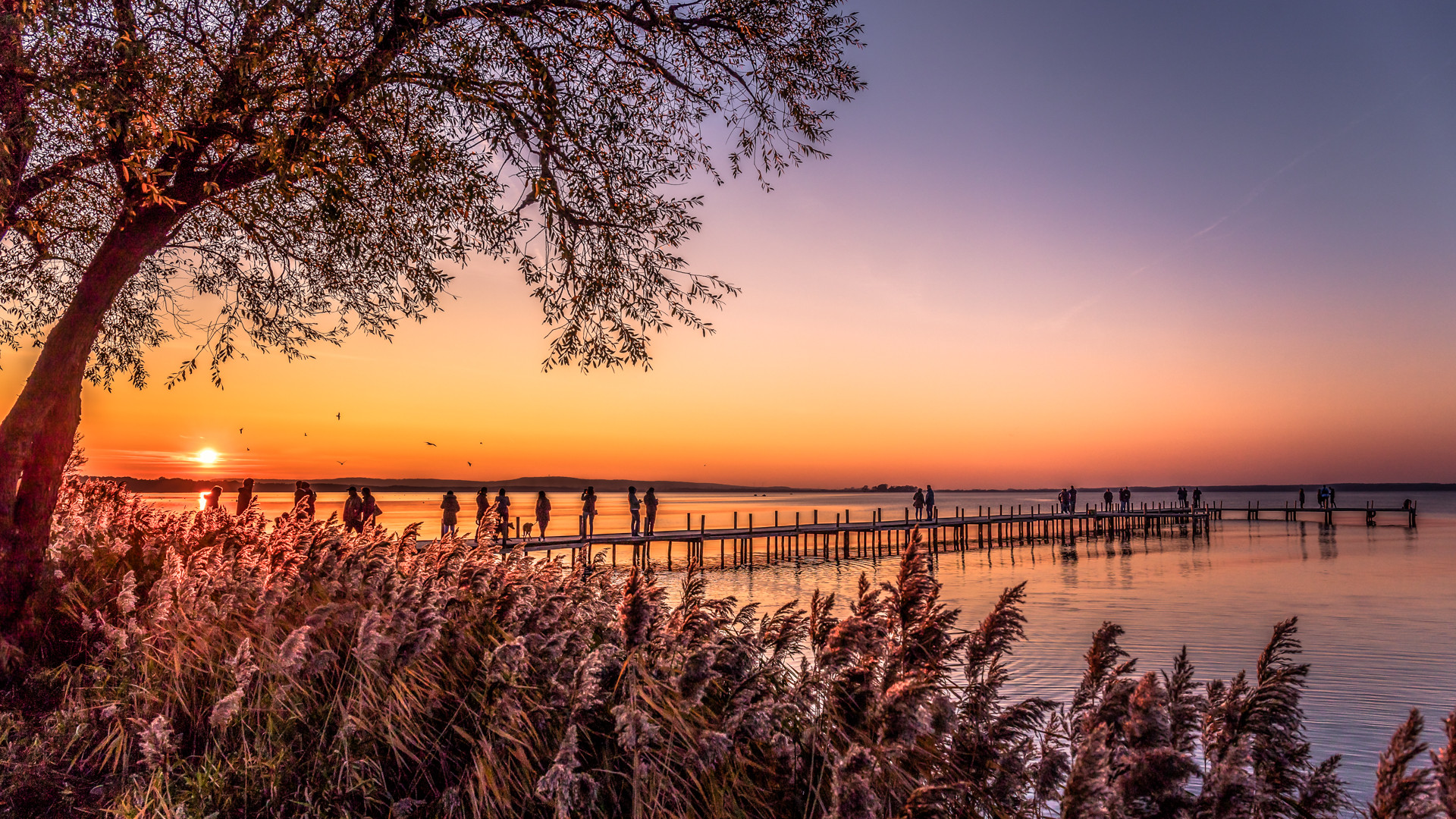 Abends am Meer