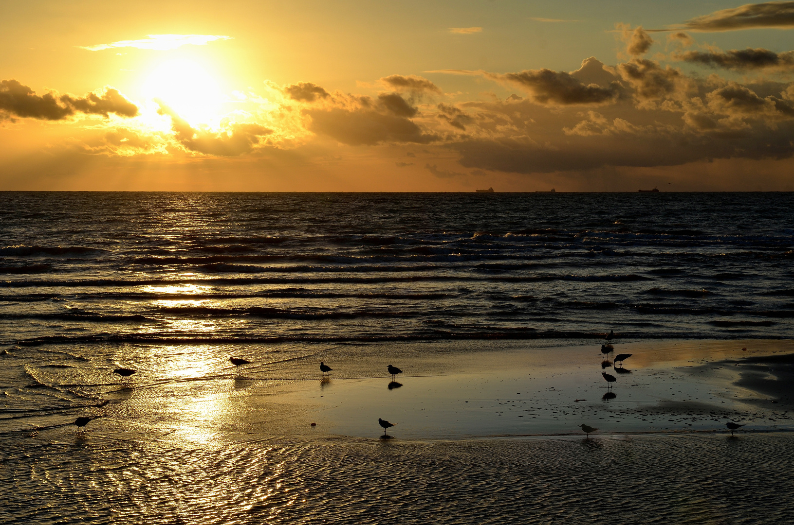 Abends am Meer