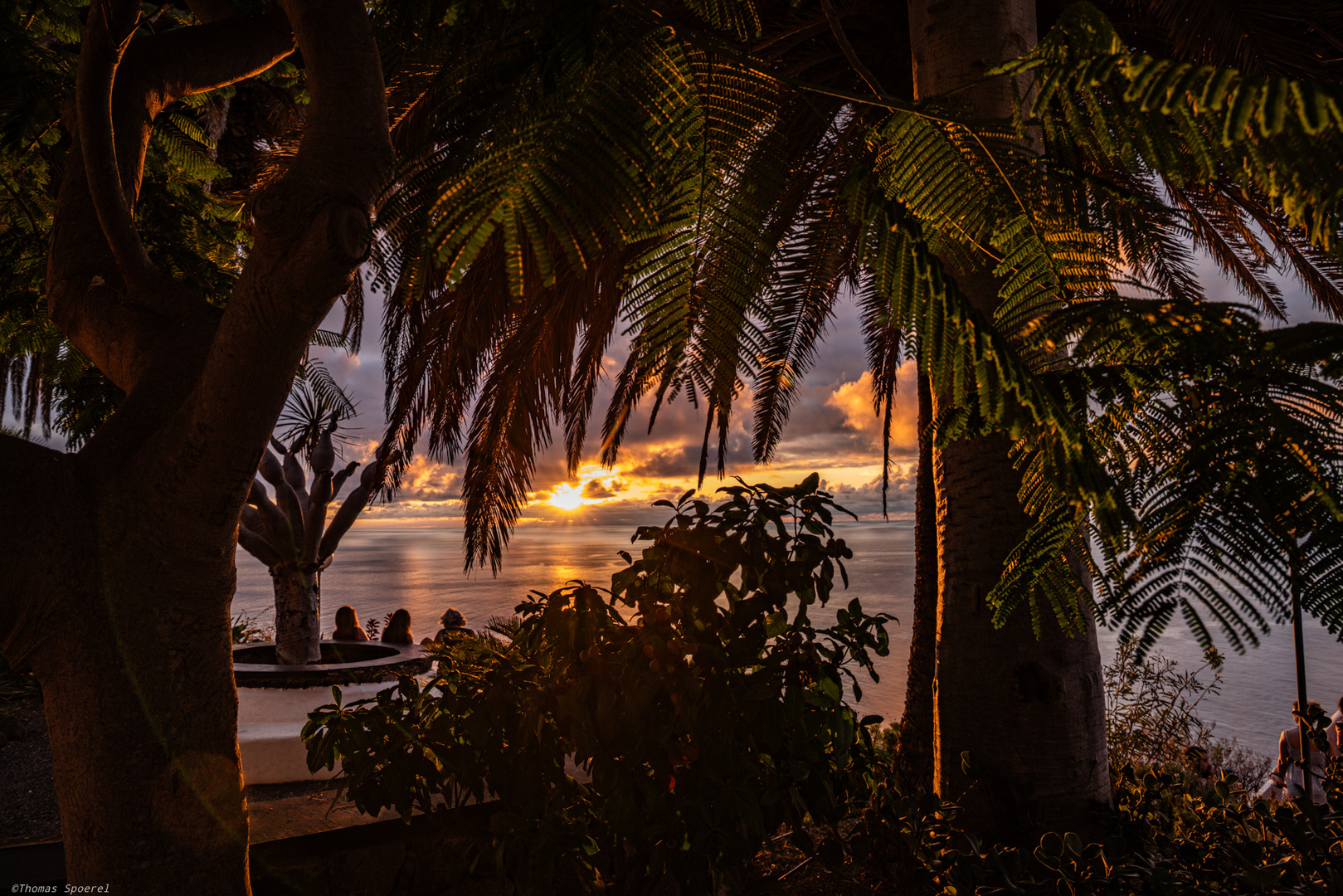 Abends am Meer 