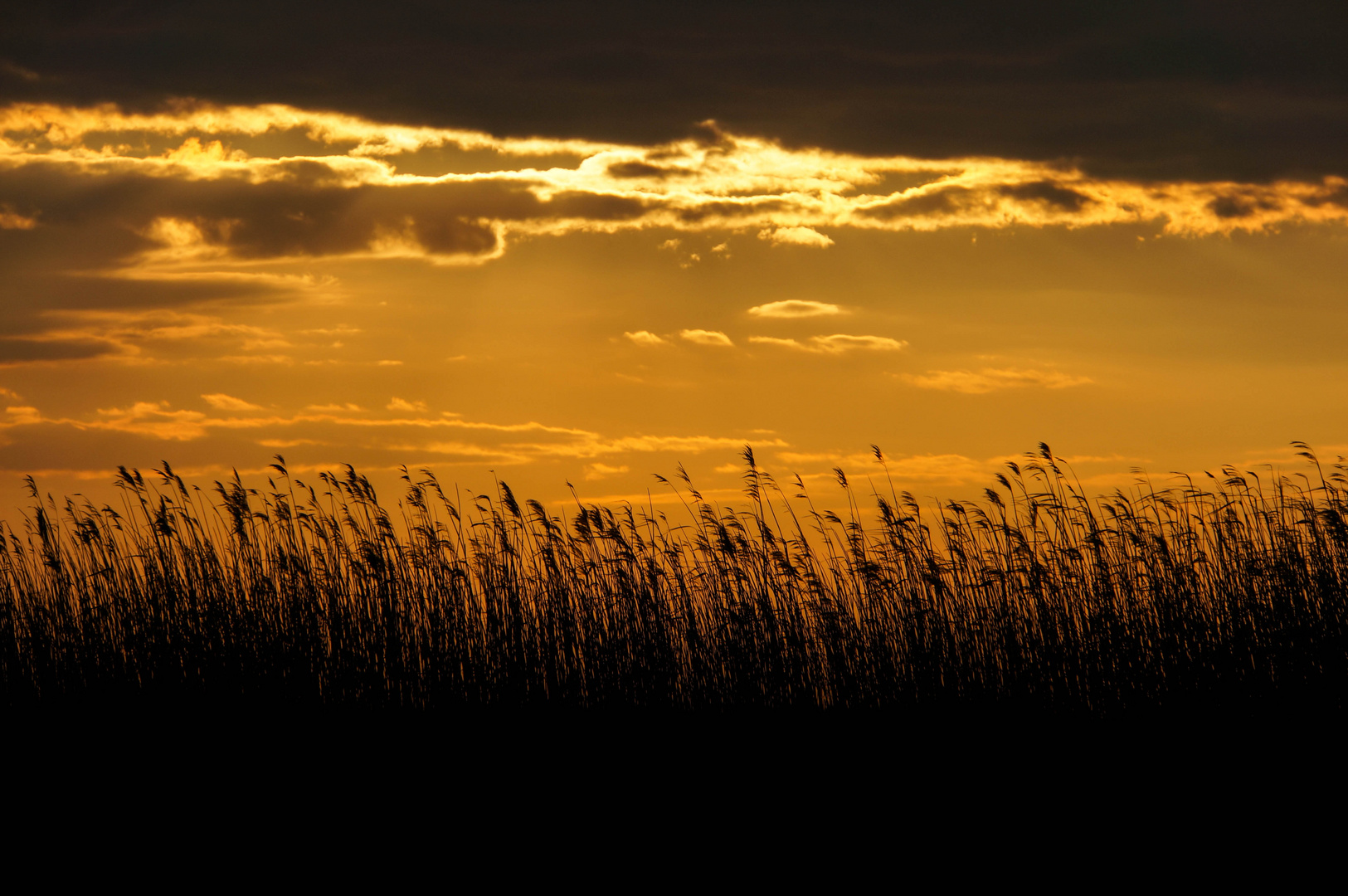 Abends am Meer