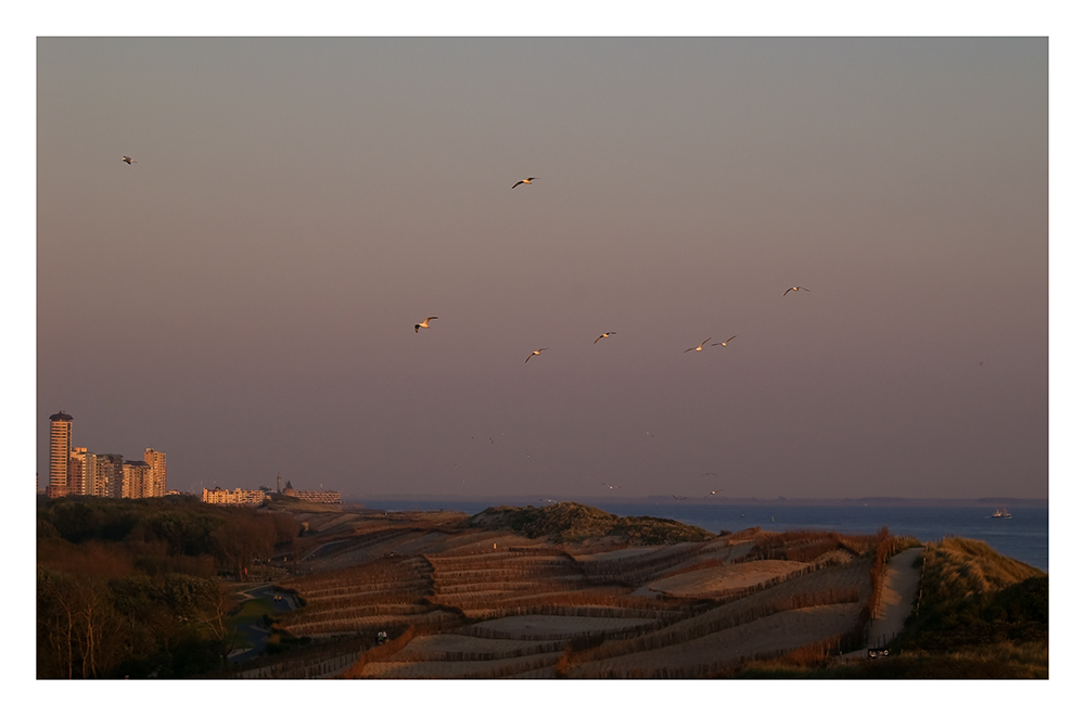 Abend's am Meer