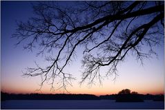 Abends am Moritzburger Teich