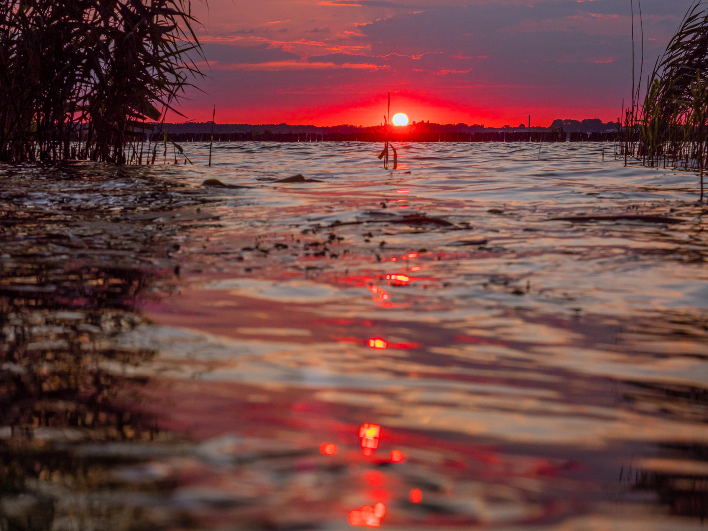 Abends am Müggelsee