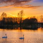 Abends am Mühlensee Vehlefanz, Mark Brandenburg, Oberhavel