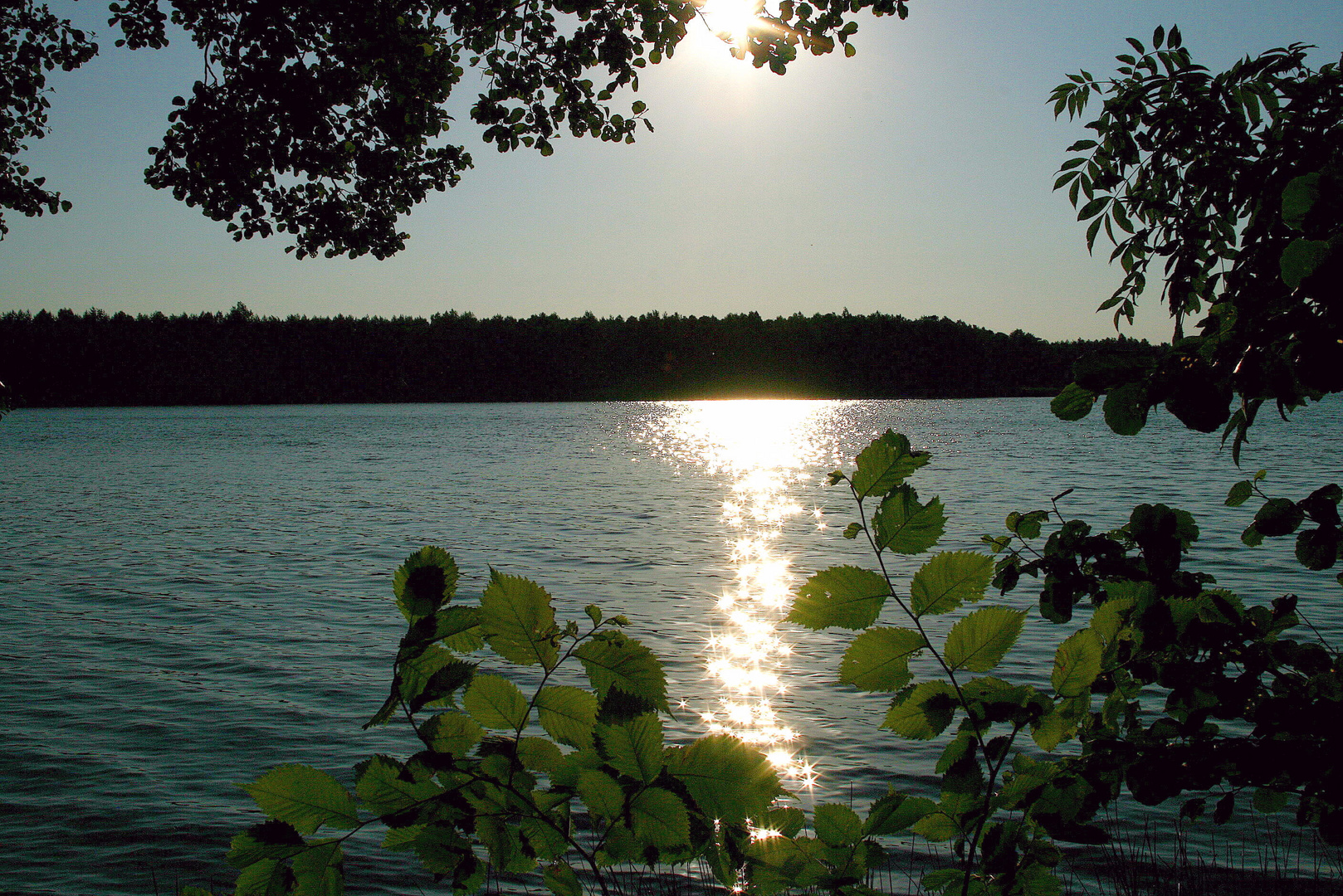 Abends am Müritz 2