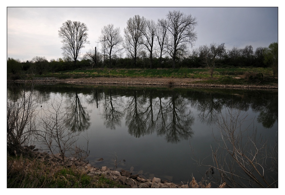 abends am Neckar