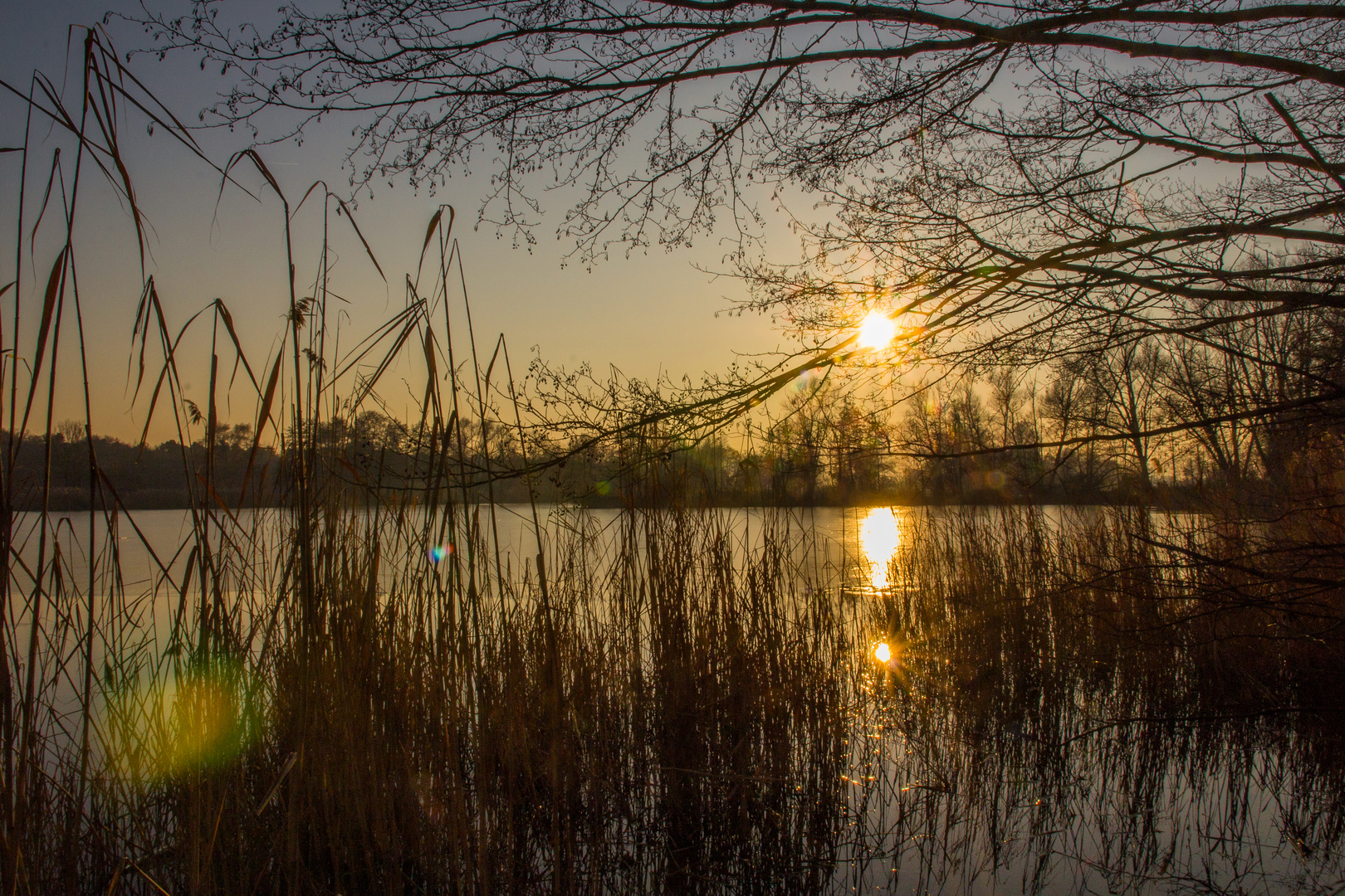 Abends am Niederwiesenweiher