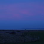 Abends am Nordsee Deich