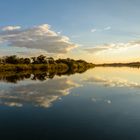 Abends am Okavango