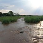 Abends am Olifants-River