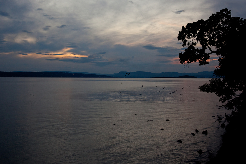 abends am OsloFjord