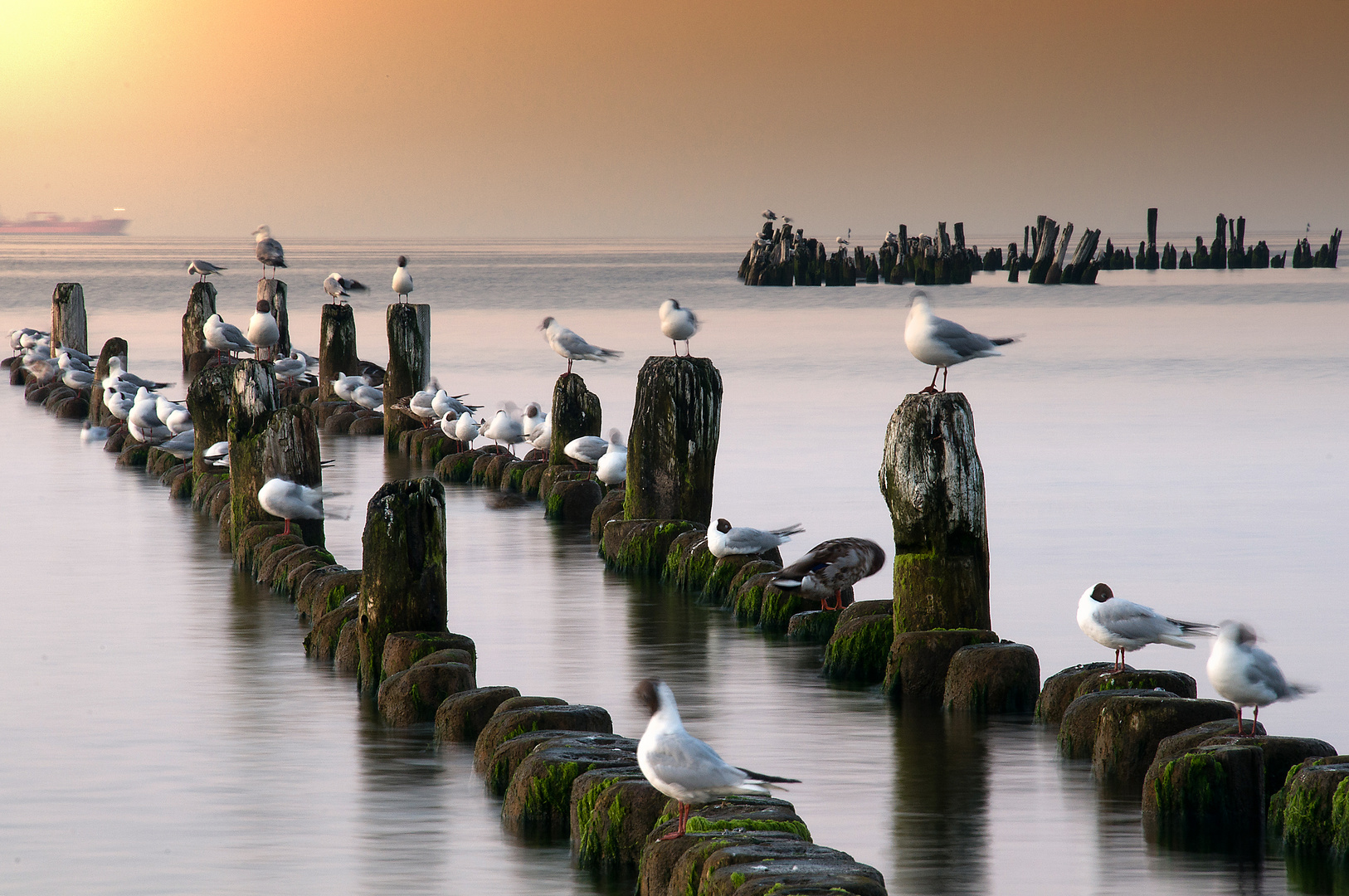 Abends am Ostseestrand