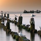 Abends am Ostseestrand